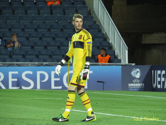 Del Bosque: De Gea musi wrócić do składu Del Bosque: De Gea musi wrócić do składu