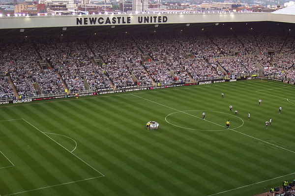 Newcastle ma nowego napastnika Newcastle ma nowego napastnika