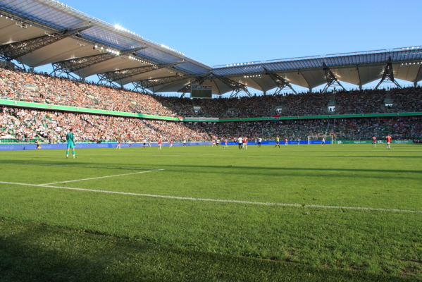 Legia sprzedaje kibicom... trawę Legia sprzedaje kibicom... trawę