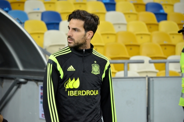 Fabregas w styczniu przejdzie do Milanu? Fabregas w styczniu przejdzie do Milanu?