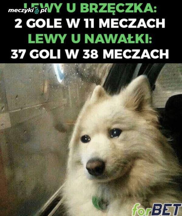 darmowy mecz online Kundli iran darmowy serwis randkowy