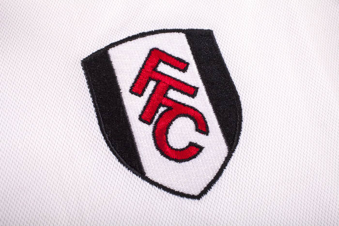 22-letni napastnik zamienił Fulham Londyn na Bristol City