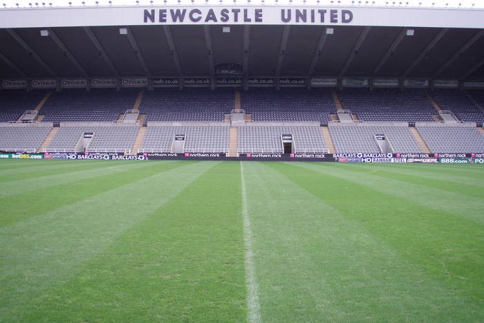 Obertan i Marveaux rozstali się z Newcastle United