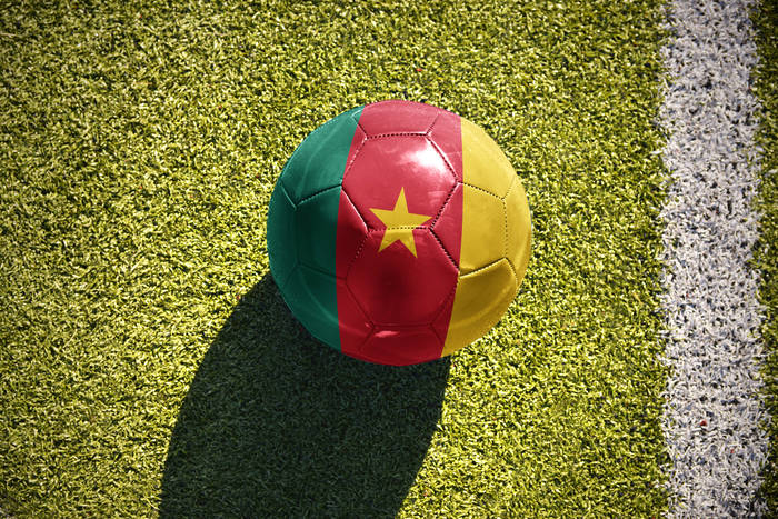 PNA: Kamerun pokonał Gwineę Bissau