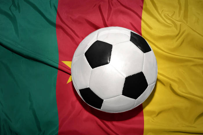 PNA: Kamerun w finale, Ghana zagra o trzecie miejsce