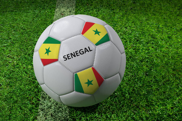 Senegalczycy pewni siebie przed mistrzostwami. "Półfinał jest osiągalny"