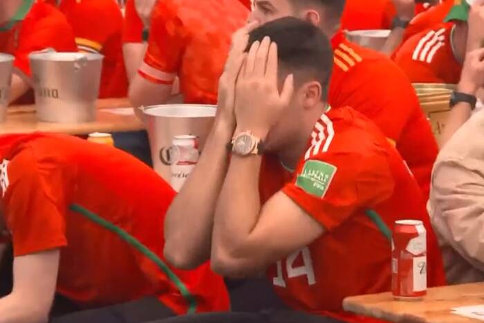 Wymowna reakcja Walijczyków na gola dla Iranu. Niejednemu kibicowi poleciała łza [WIDEO]