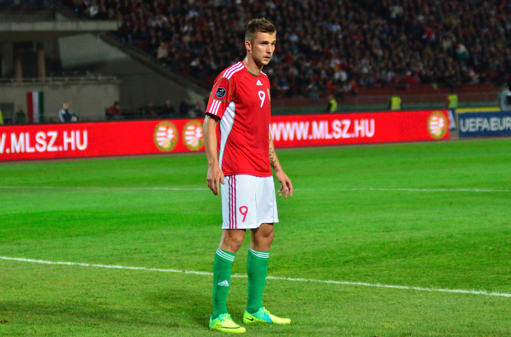 Węgrzy jadą na EURO! Cudowny gol Priskina [video]