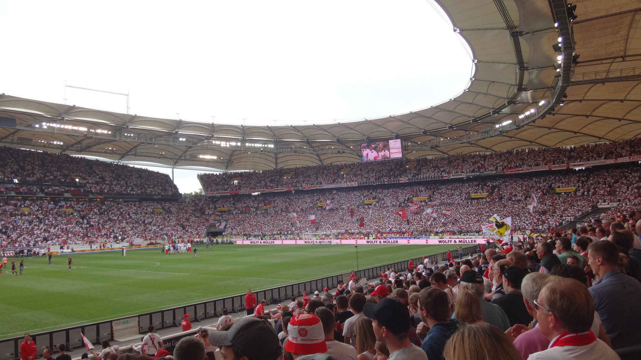Tim Walter nie jest już szkoleniowcem VFB Stuttgart