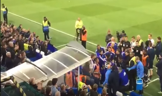 Hiddink powalony na ziemię. "Było trochę walki judo" [VIDEO]