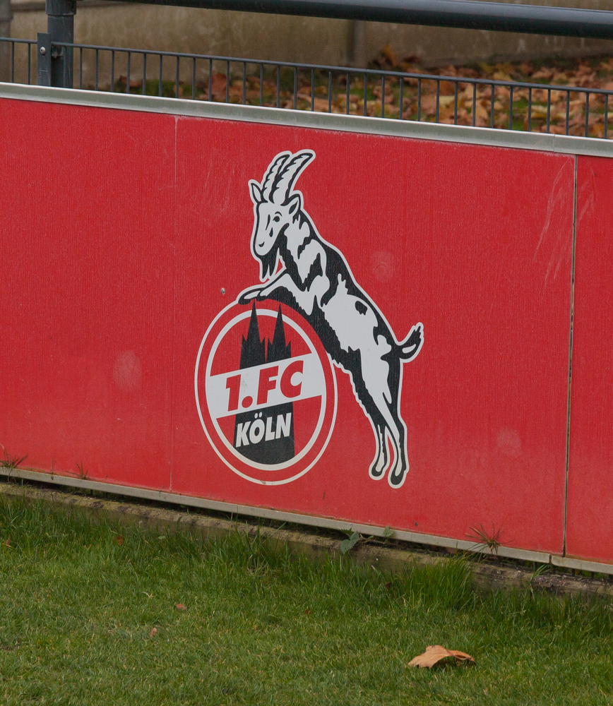Modeste nie chce do Chin? Transferu póki co nie będzie