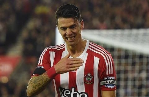 Jose Fonte został nowym zawodnikiem Lille