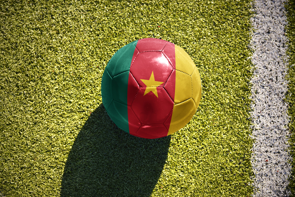 PNA: Kamerun pokonał Gwineę Bissau