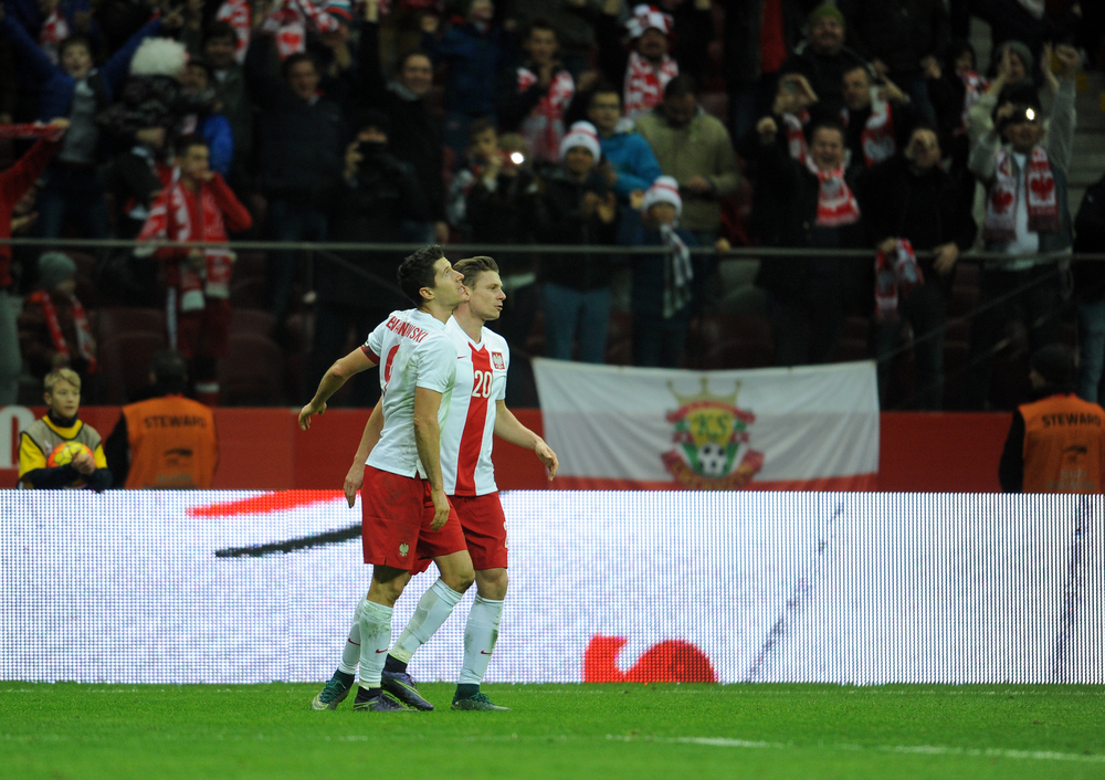 Lewandowski i Piszczek w jedenastce sezonu Bundesligi