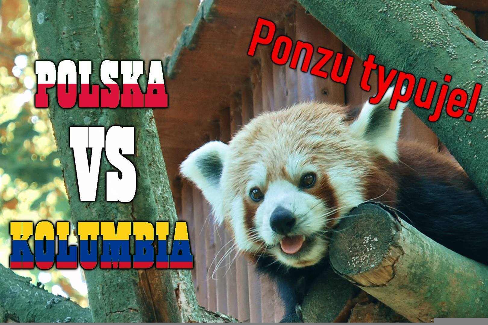 Znamy zwycięzcę meczu Polska - Kolumbia! Ponzu wytypował [VIDEO]