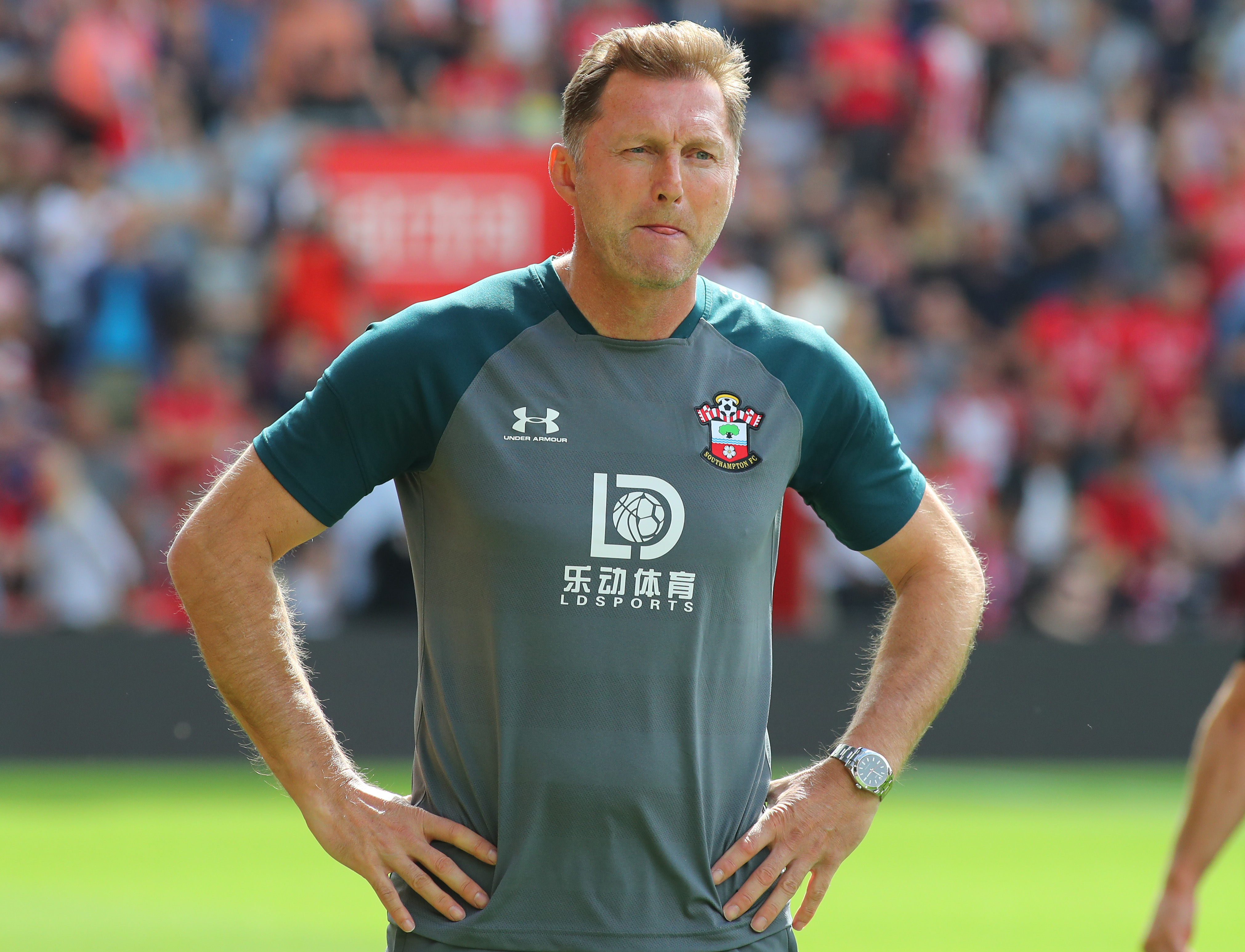 Niedawno po 0:9 śmiała się z niego cała Anglia, dziś zachwyca. "Alpejski Klopp" jak Bob Budowniczy