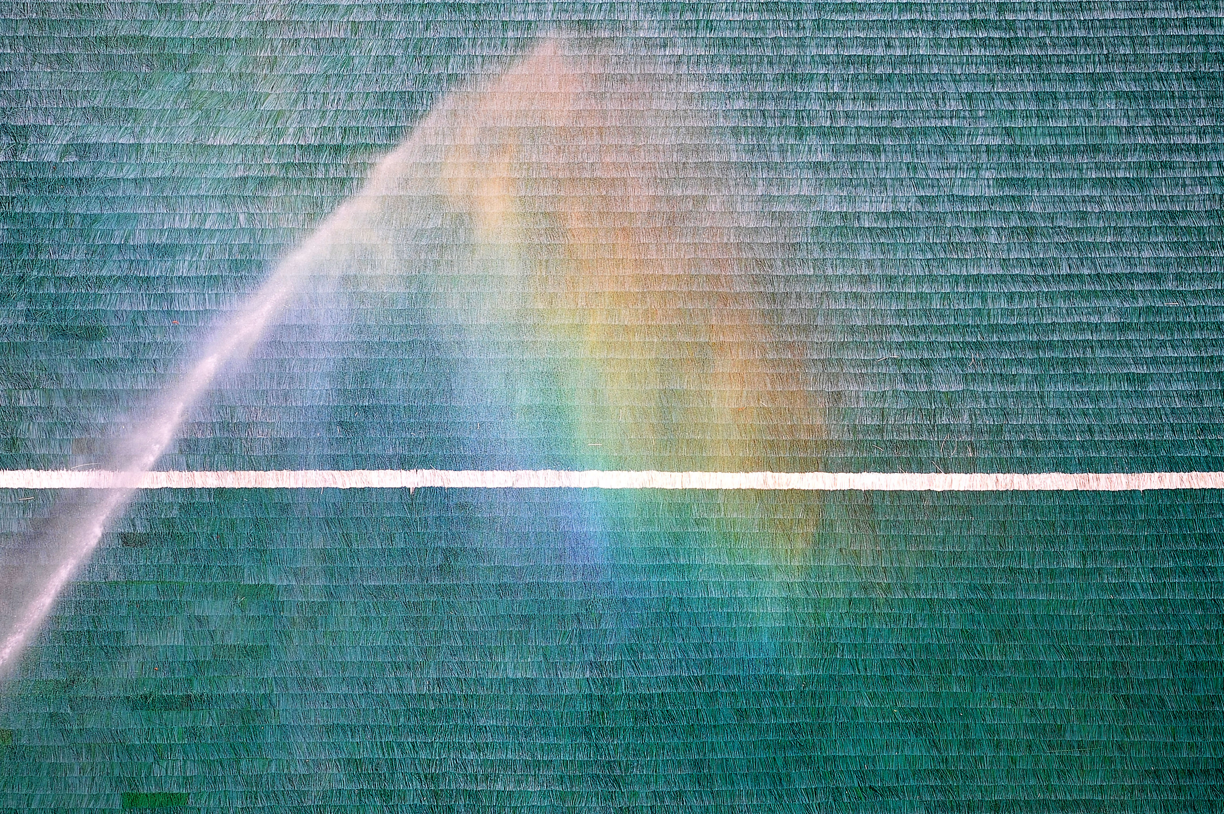 Niemcy chcą bronić praw osób LGBT. Specjalny apel przed meczem z Węgrami