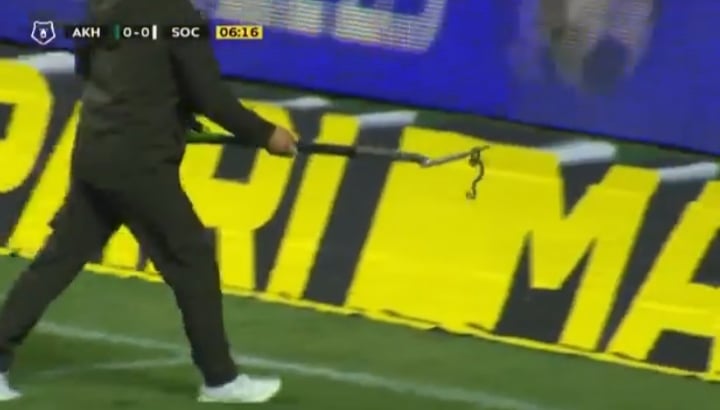 Wąż na murawie! Niecodzienne sceny w meczu ligi rosyjskiej [WIDEO]