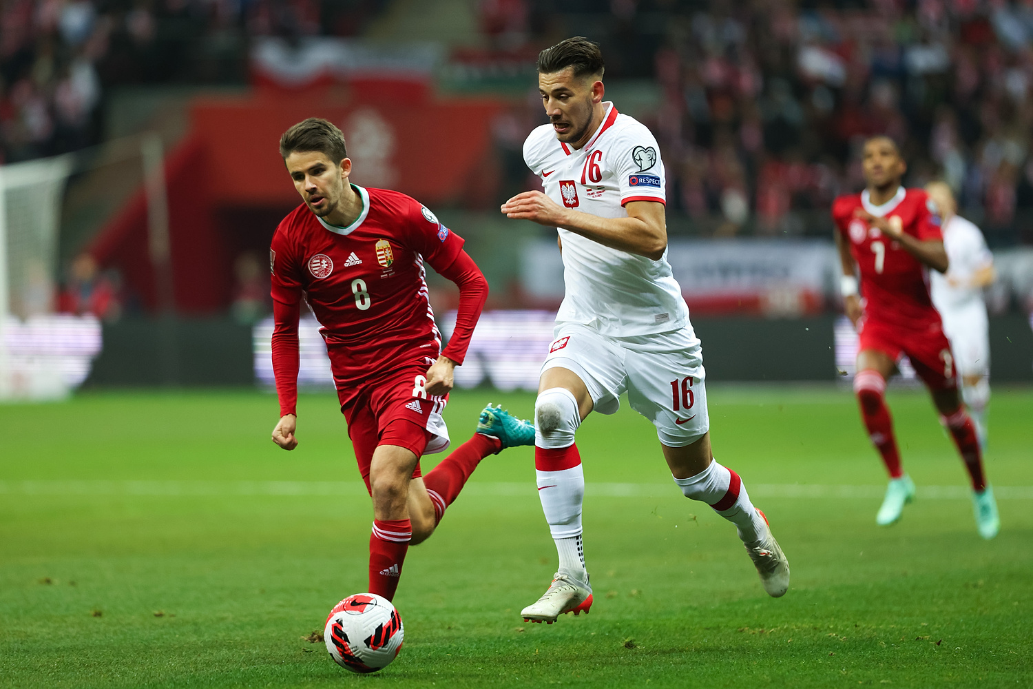 Angielscy dziennikarze ujawnili zarobki Jakuba Modera. To najgorzej opłacany piłkarz Brighton