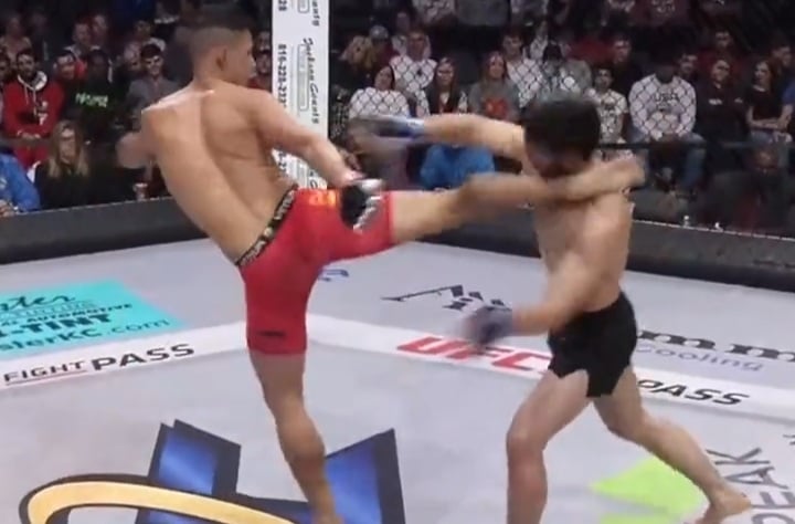 Spektakularny nokaut w UFC. Efektowne kopnięcie na wagę zwycięstwa [WIDEO]