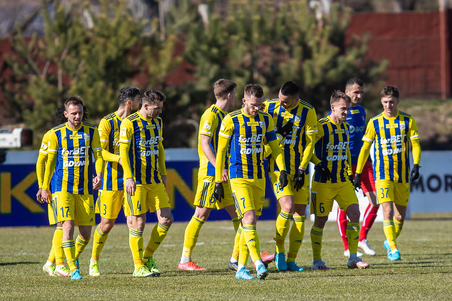 Media: Arka Gdynia planuje kolejny transfer. Może znacząco osłabić ligowego rywala