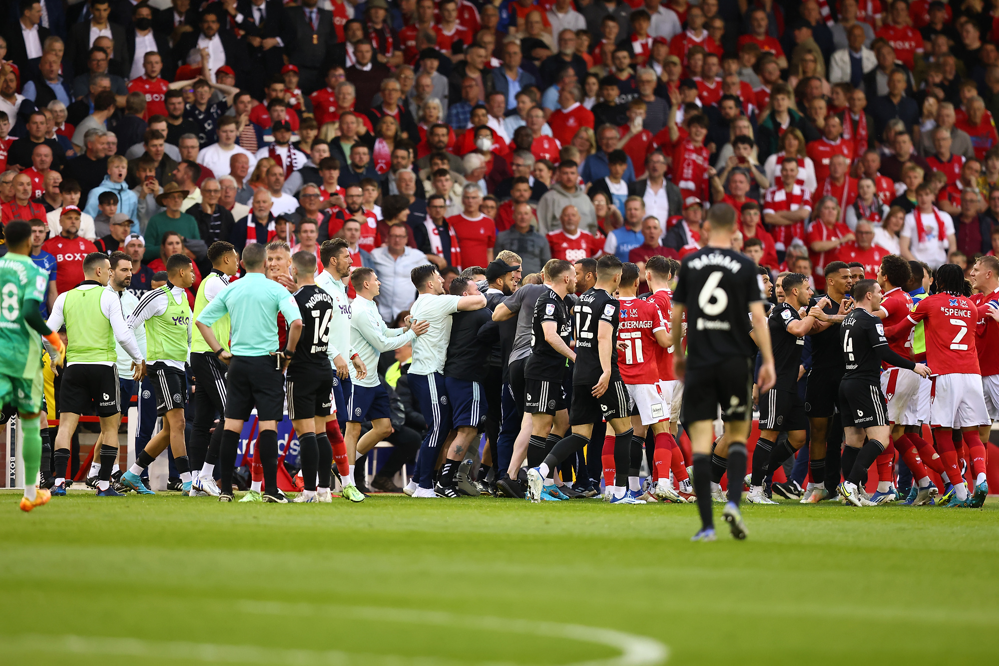 Wielki skandal po barażach o Premier League. Piłkarz Sheffield United znokautowany przez kibica [WIDEO]