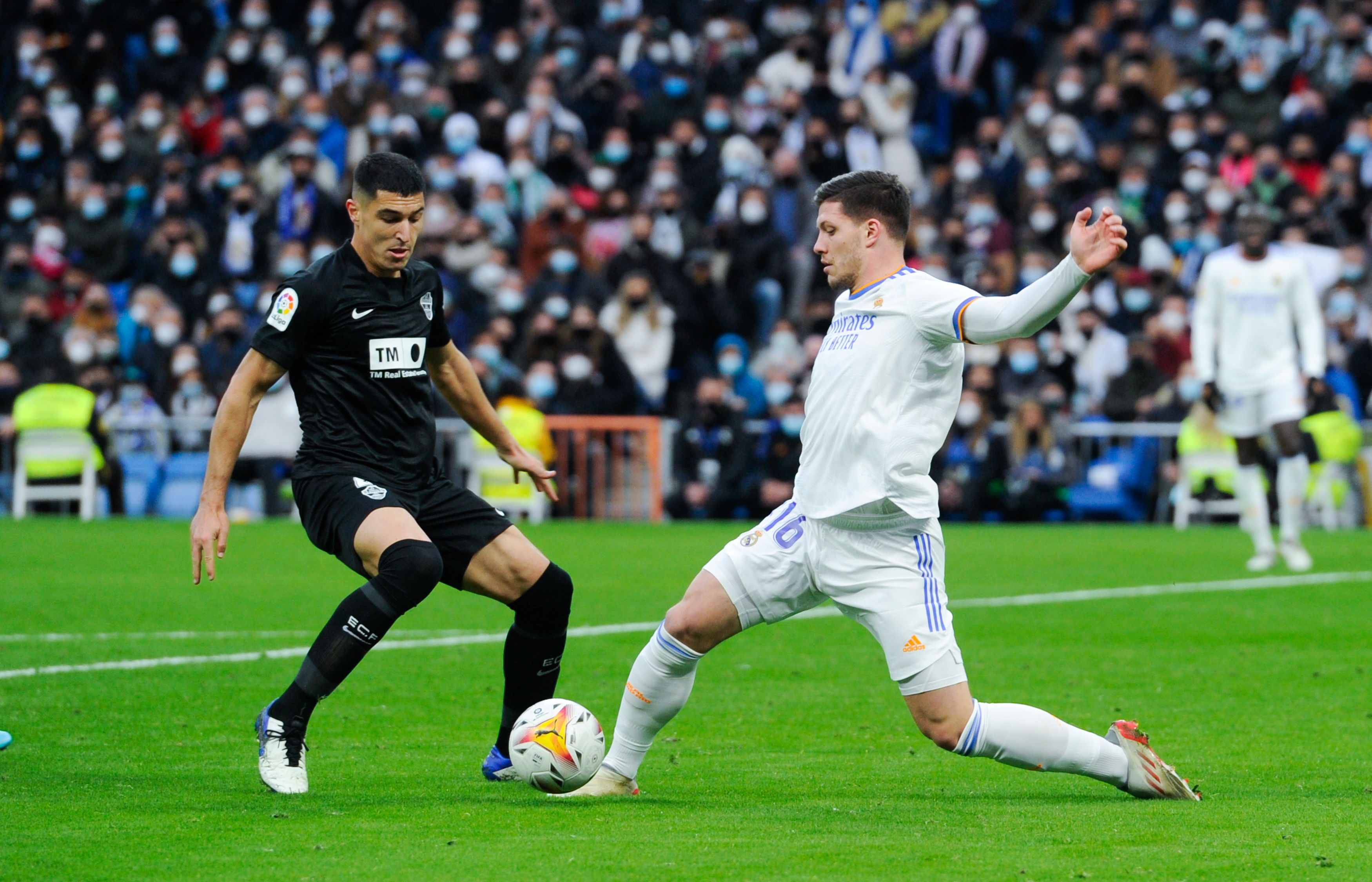 Luka Jović bliski zmiany klubu. Napastnik Realu Madryt może zastąpić polskiego snajpera