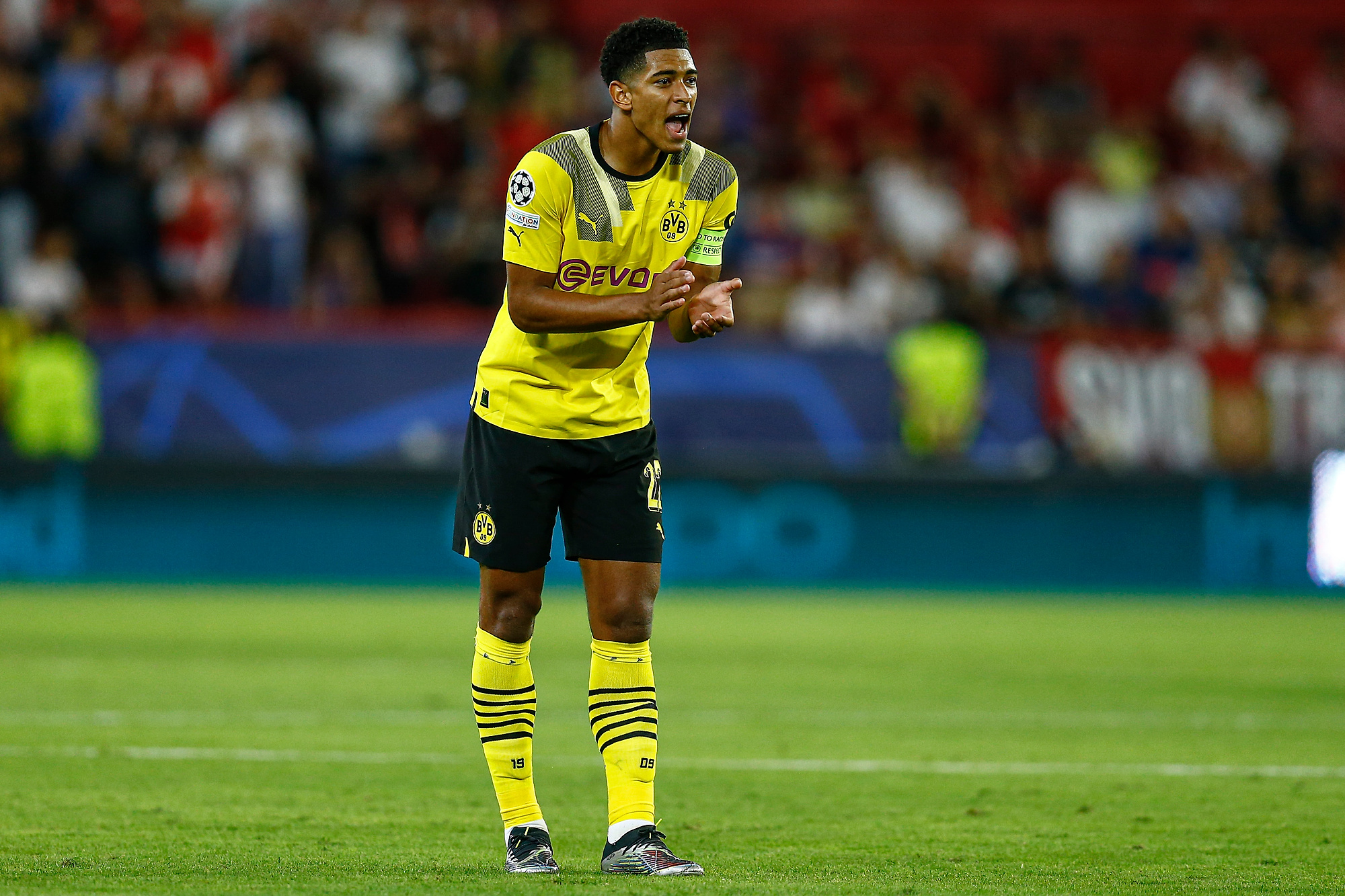 Borussia Dortmund szykuje się do rozmów z Bellinghamem. Klub stawia sprawę jasno
