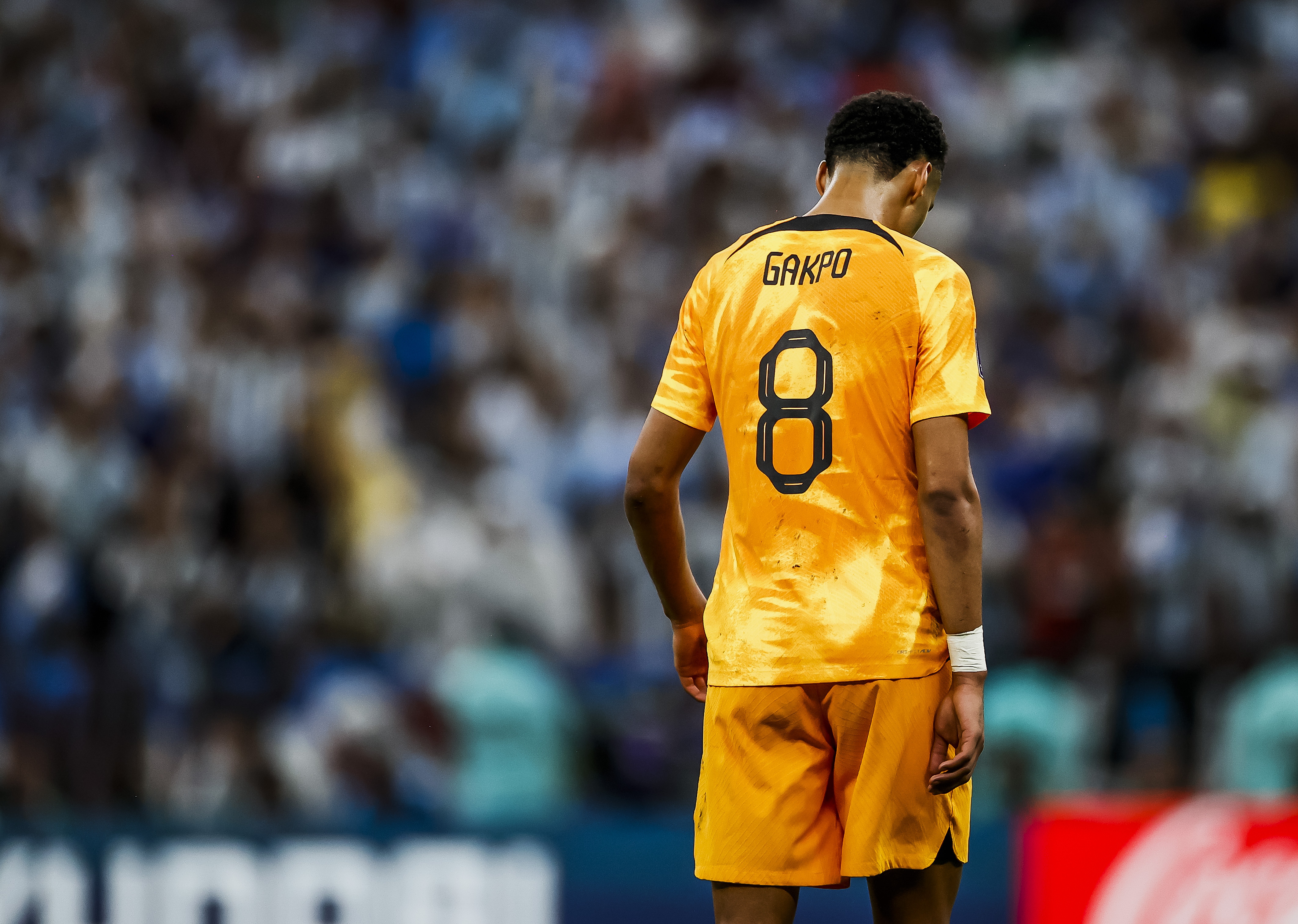 Cody Gakpo zmienił klub! Wielki transfer potwierdzony