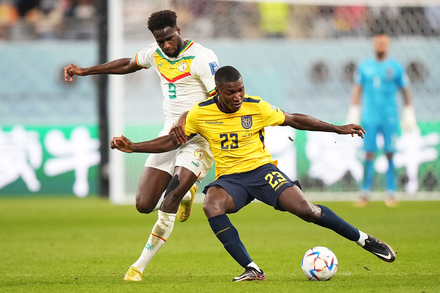 Zamieszanie wokół Moisesa Caicedo. Piłkarz, którego chce Arsenal, nie będzie trenował z Brighton