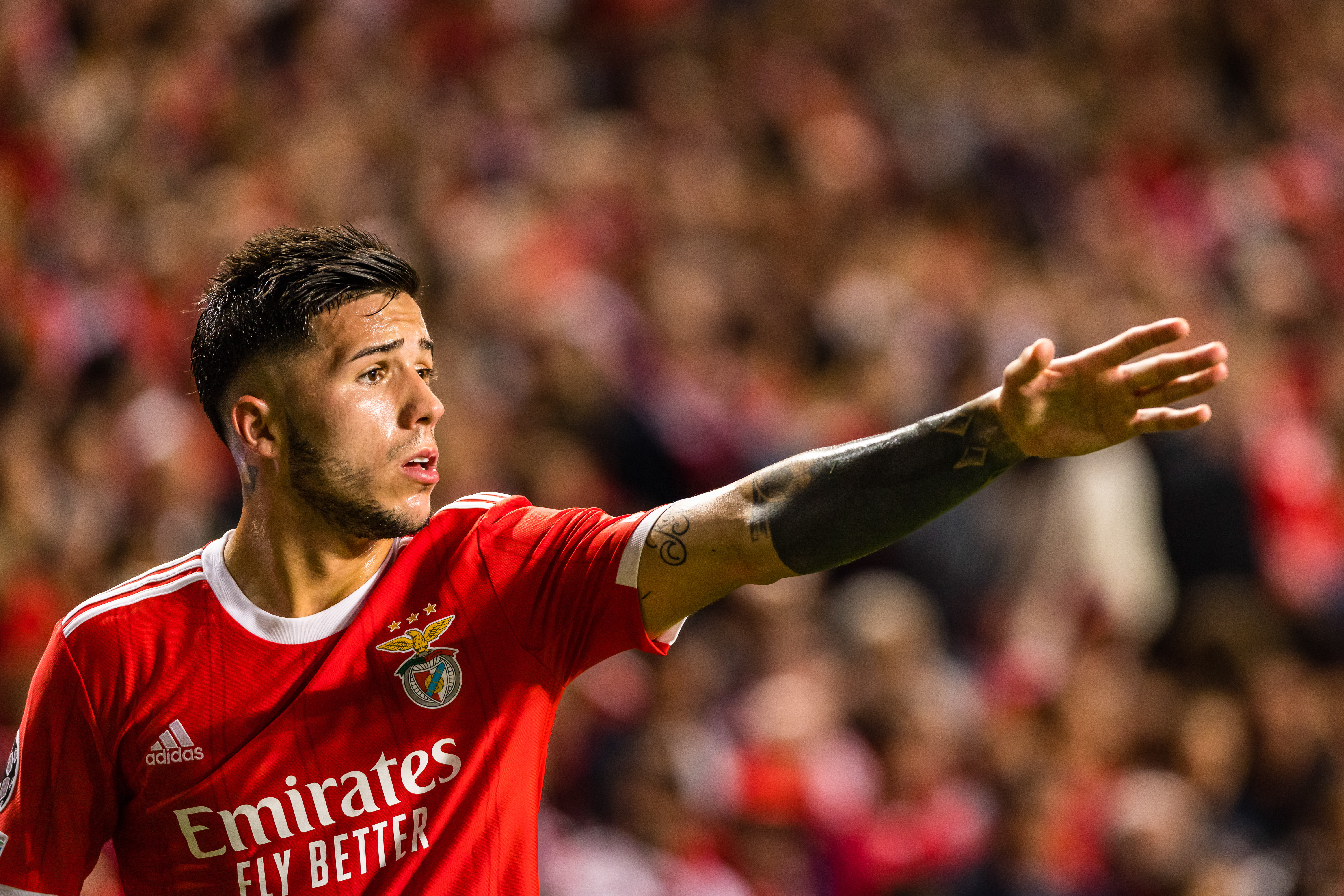 Enzo Fernandez nowym piłkarzem Chelsea! Rekordowy transfer stał się faktem