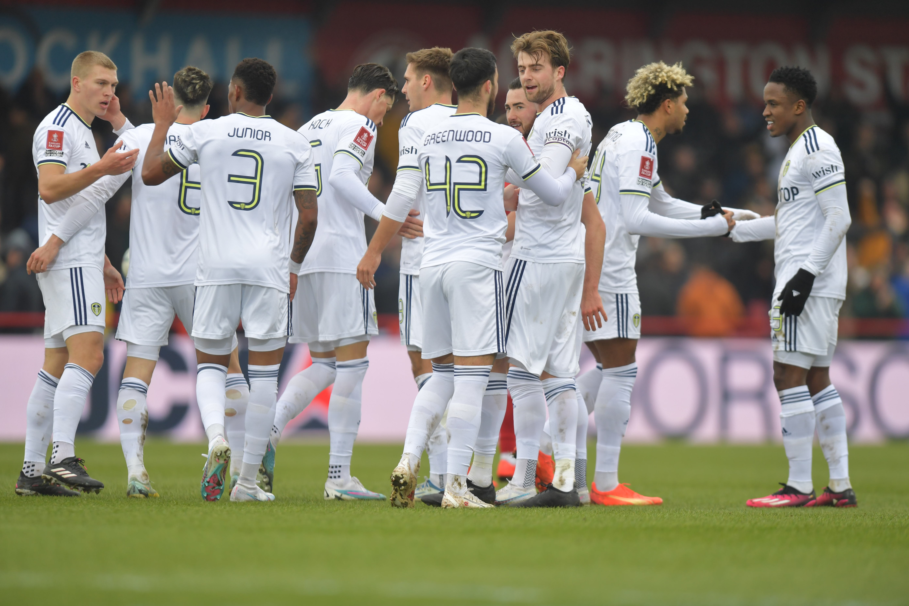 Kolejny trener odmówił Leeds United. Problemy klubu z Premier League ze znalezieniem nowego szkoleniowca