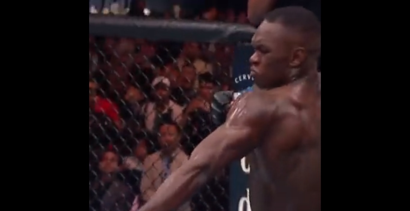 Adesanya odzyskał pas mistrza UFC. Kropnął tak, że rywala ścięło z nóg [WIDEO]