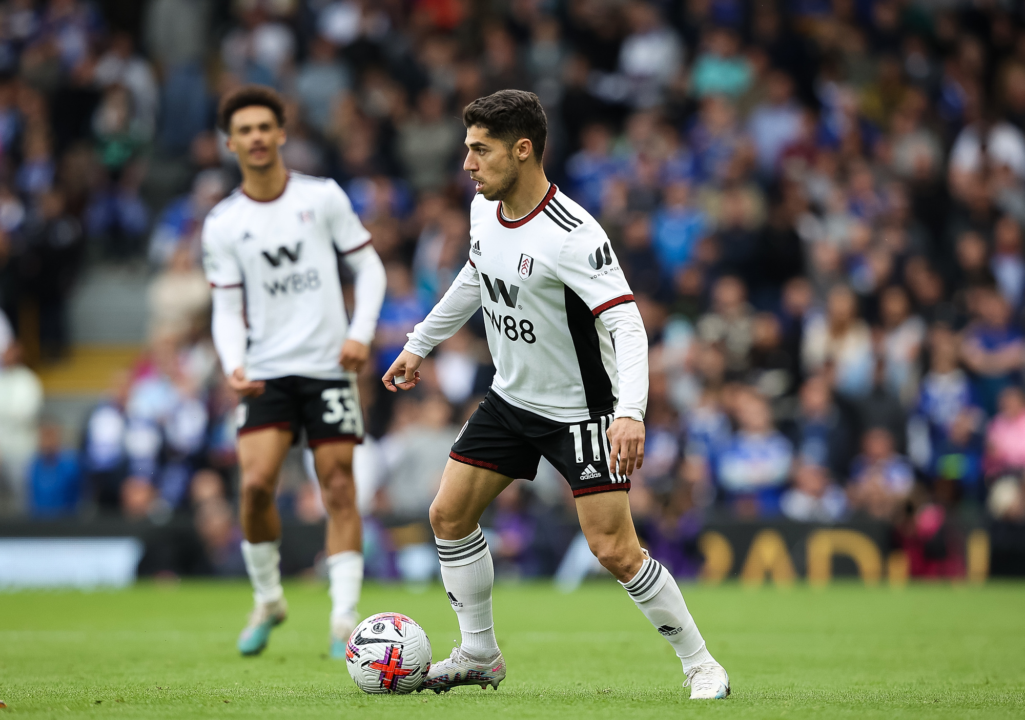 Tottenham ogłosił transfer. Podpisał kontrakt z reprezentantem Izraela