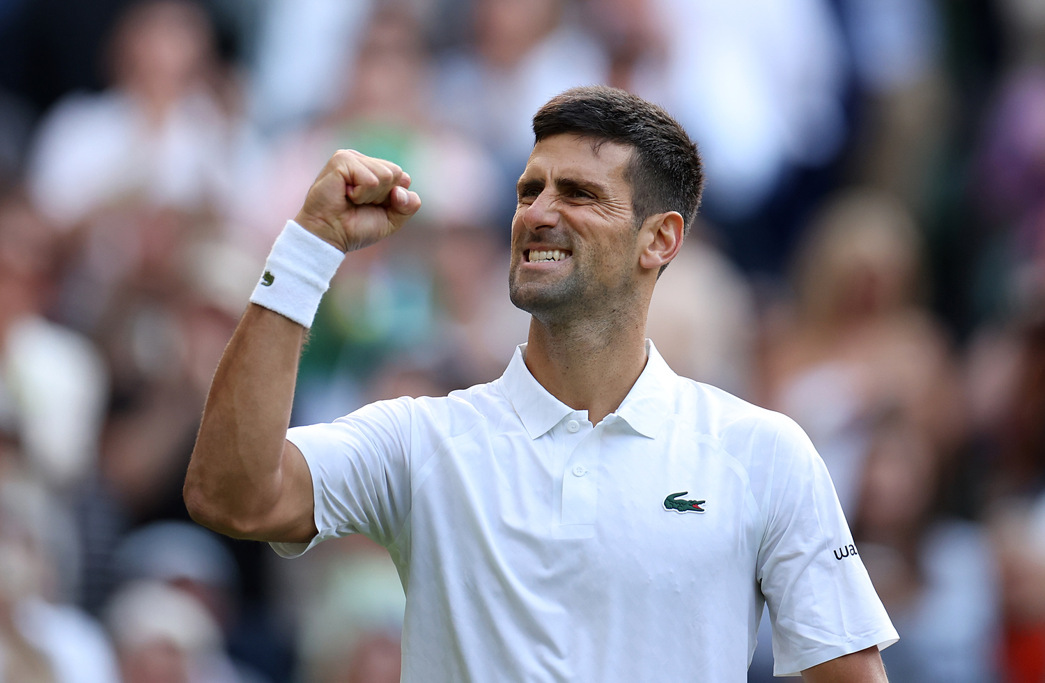 Novak Djoković ocenił Huberta Hurkacza. Serb zaprezentował wielką klasę