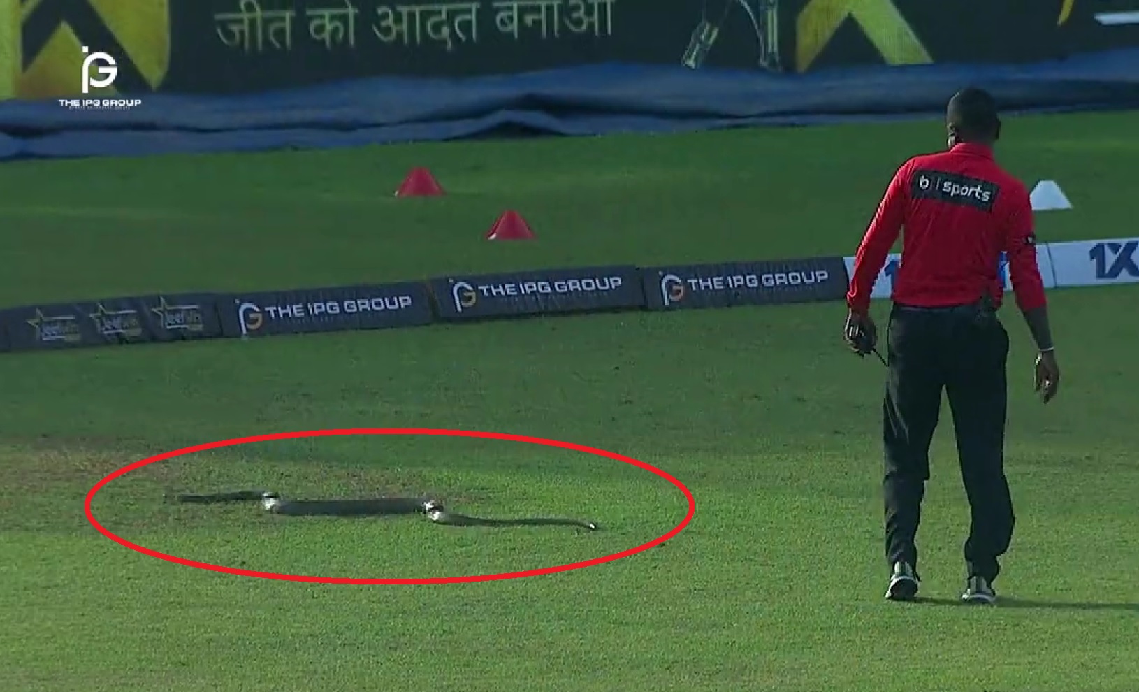 Ogromny wąż przeszkodził w rozegraniu meczu. Przerażające sceny na murawie [WIDEO]