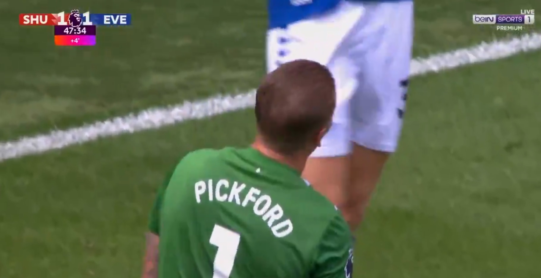 Kuriozalny gol w angielskiej Premier League. Jordan Pickford z samobójem, miał wielkiego pecha [WIDEO]
