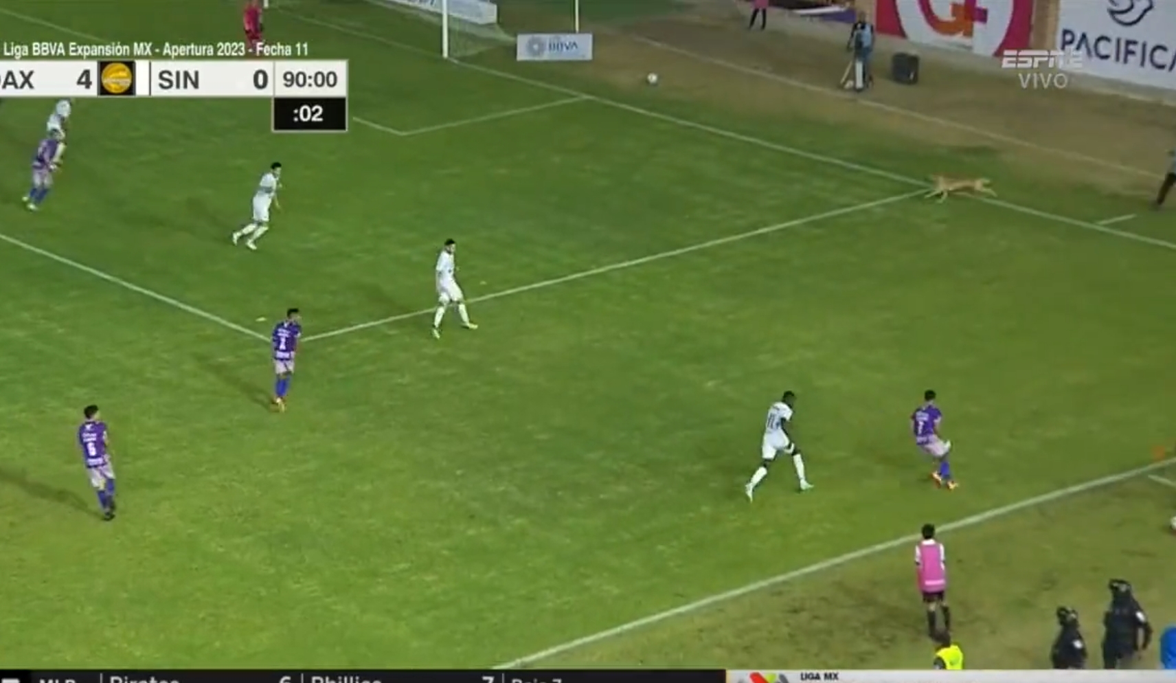 Nietypowe sceny w Meksyku. Na boisku pojawił się niespodziewany gość, trzeba było wstrzymać grę [WIDEO]