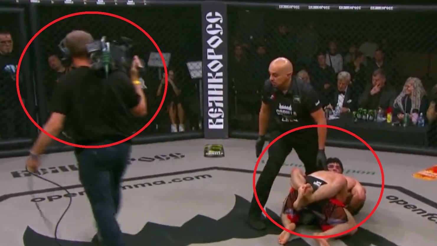 Absurdalna sytuacja na gali MMA. Operator kamery zamknięty w oktagonie [WIDEO]