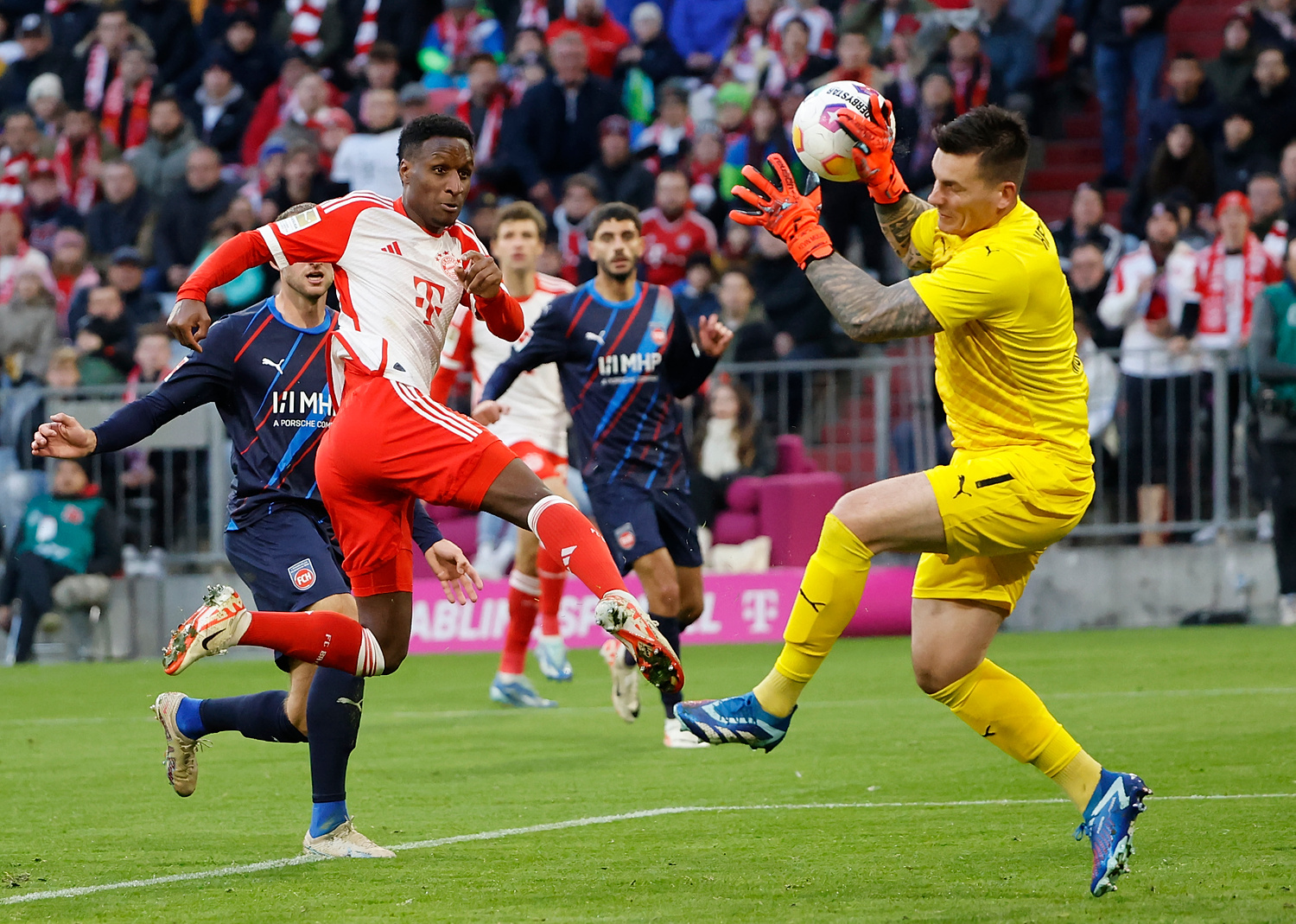 Bayern podał fatalną diagnozę. Jego piłkarza czeka wielomiesięczna przerwa w grze