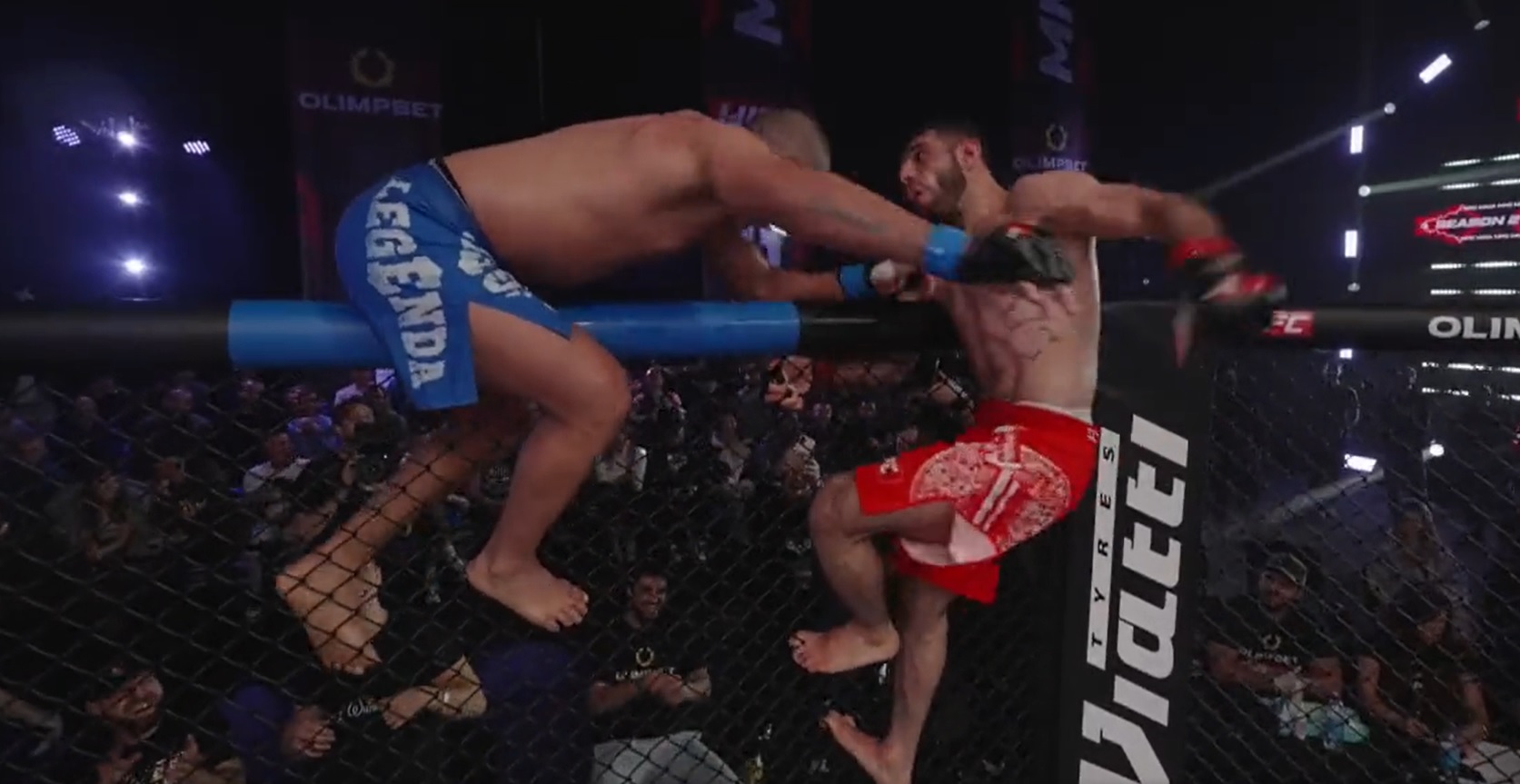 Szokująca sytuacja z udziałem byłego zawodnika UFC. Wdał się w bójkę podczas świętowania zwycięstwa [WIDEO]