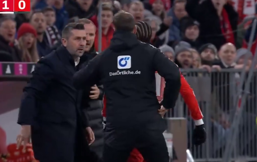 Bjelica dał w twarz Sane, teraz się tłumaczy. "Nie przeproszę go"