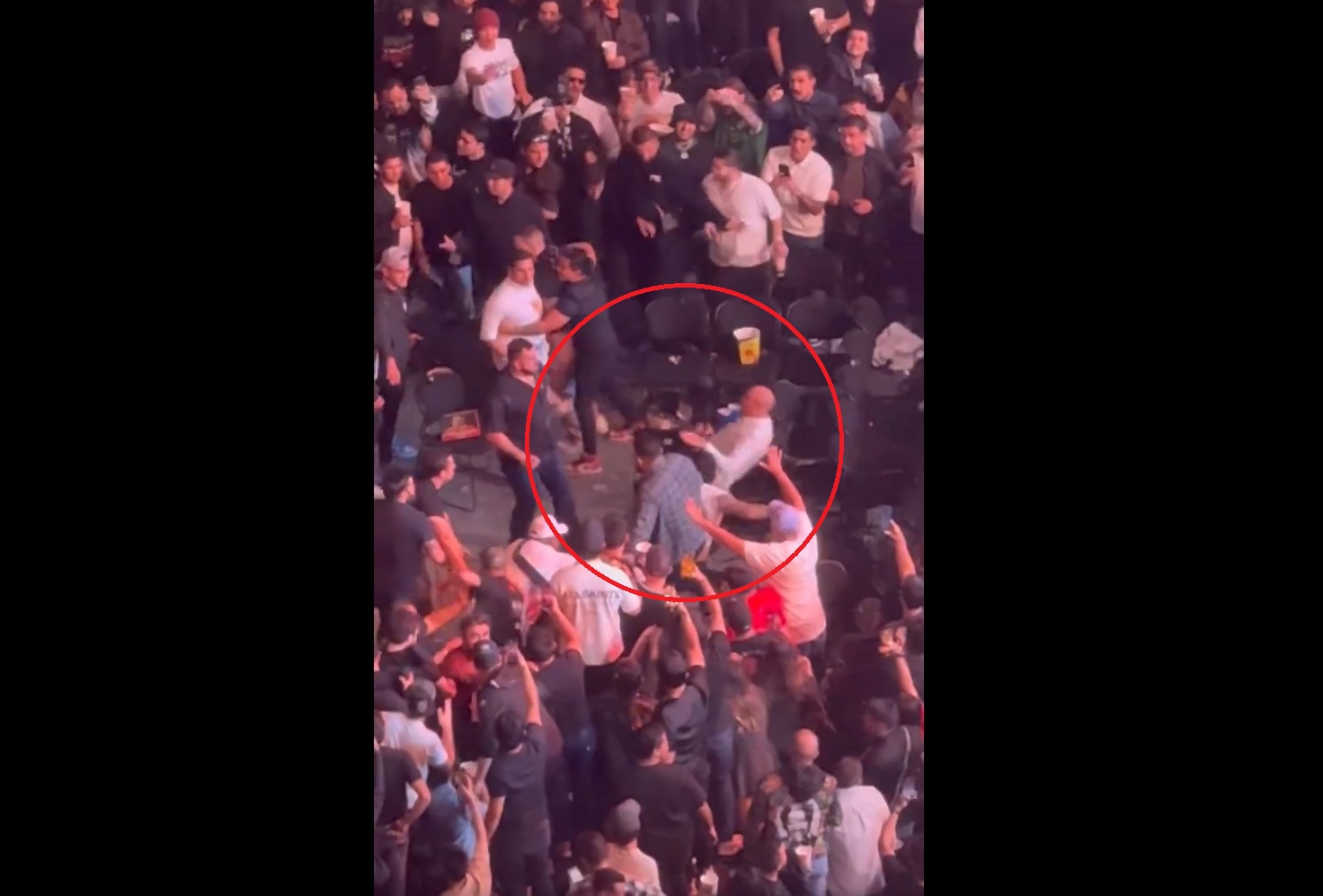 Szalone sceny na UFC. Kibic znokautowany na trybunach, nagranie obiegło internet [WIDEO]