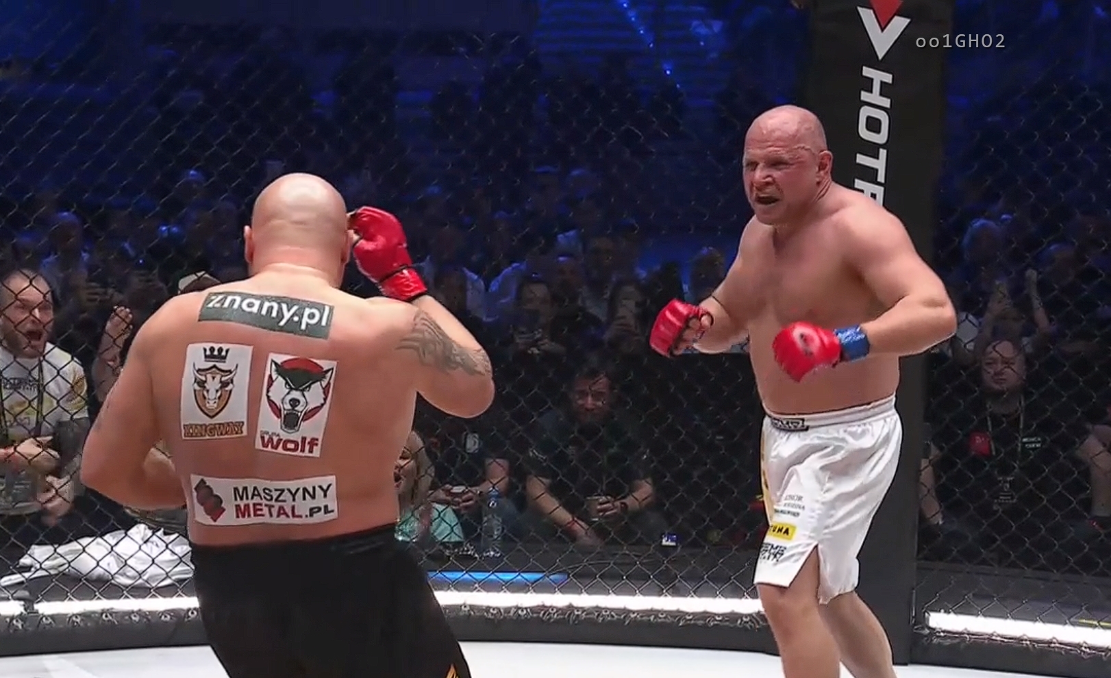 Co za koniec walki Najmana z Murańskim na Clout MMA 4! Nie trwało to nawet minuty [WIDEO]