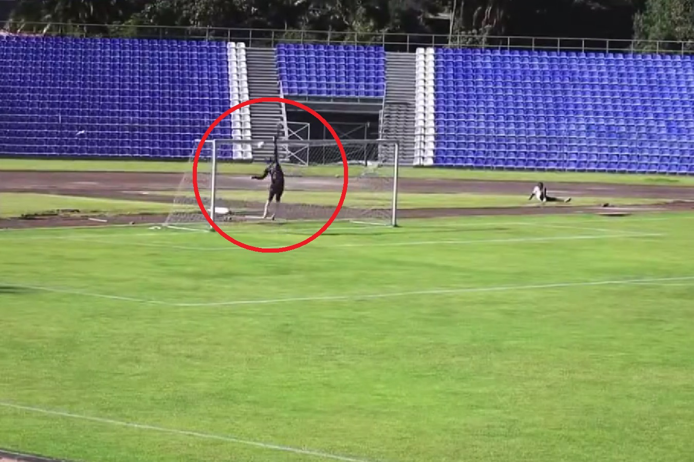 Afrykański bramkarz "zrobił Boruca". Wpuścił kuriozalnego gola, golkiper rywali mógł triumfować [WIDEO]