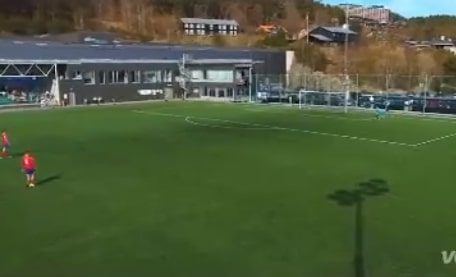 Kopnął piłkę i… zabił zwierzę. Wszystko uchwyciły kamery [WIDEO]