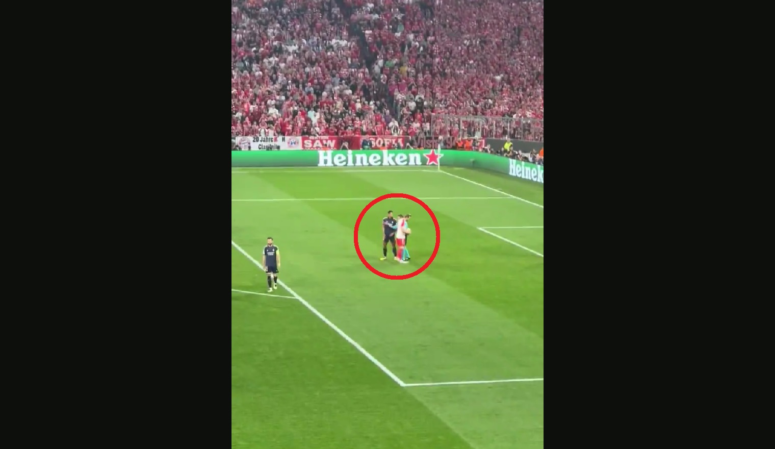 Zaskakujące zachowanie Bellinghama. Tak dręczył Kane'a [WIDEO]