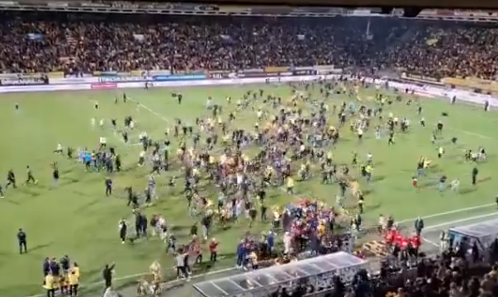 Kibice wbiegli świętując awans, a tu... gol. Sceny w Holandii [WIDEO]