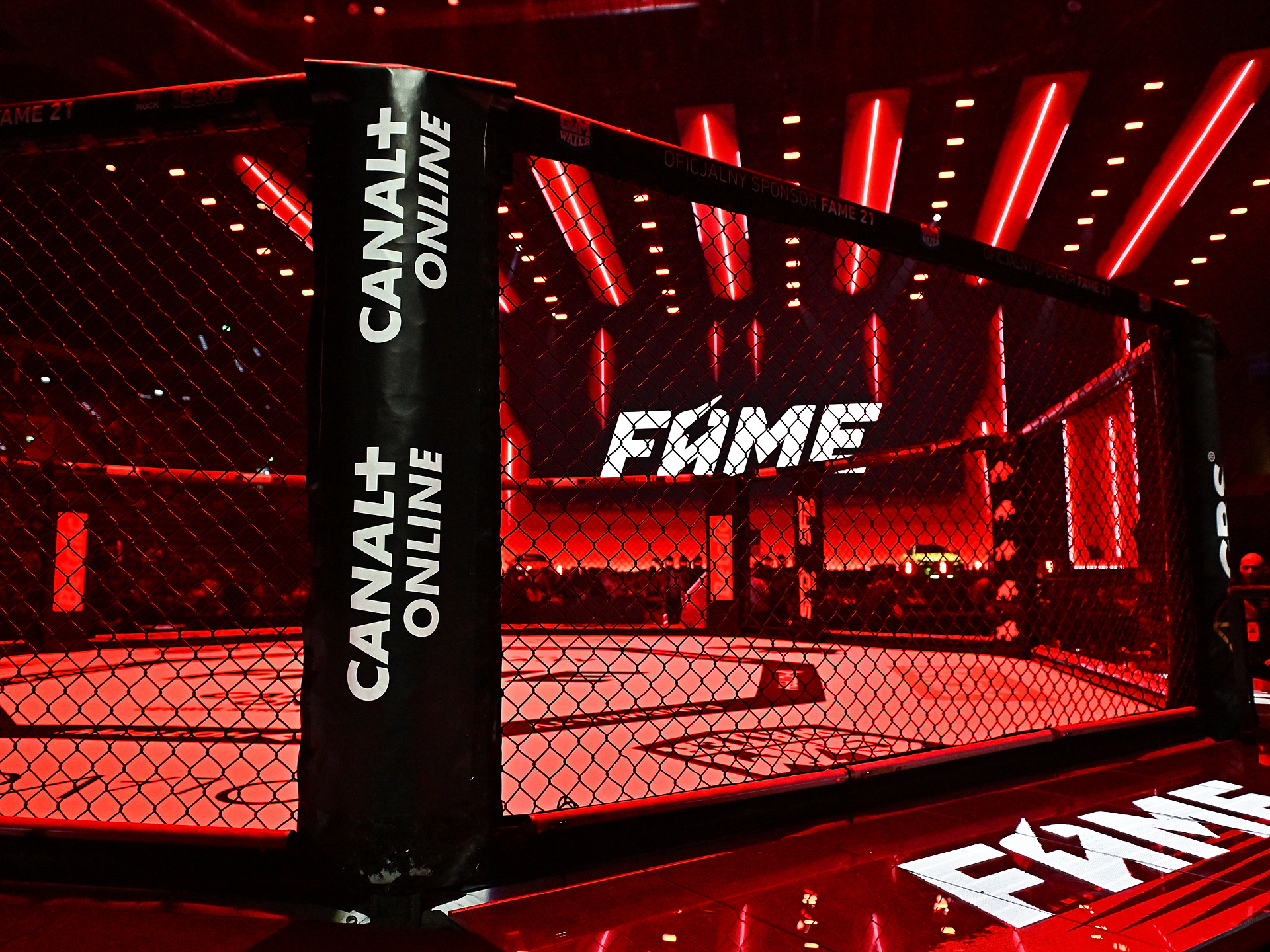 Zawodniczka UFC zaskoczyła. Zdradziła, ile zarobiła za walkę w Fame MMA