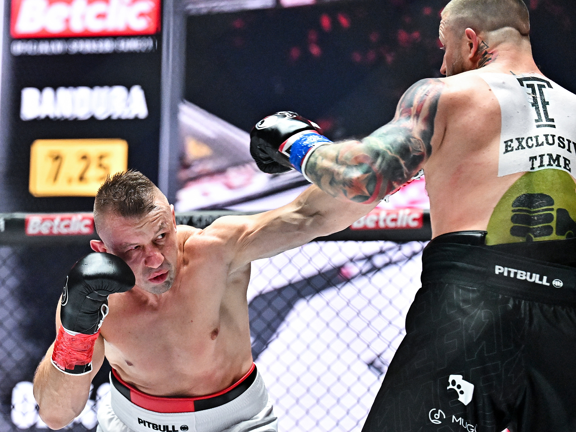 Tomasz Adamek wyprowadzony z samolotu. Kipi ze złości